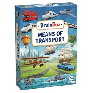 BrainBox - Means of Transport